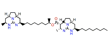 Batzelladine L